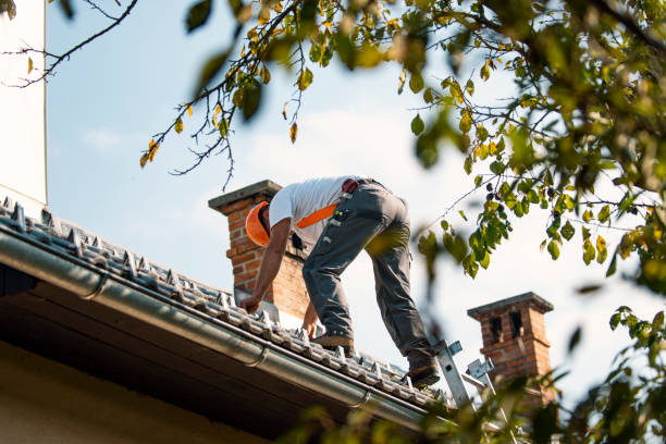 Best Local Roofing Companies  in Belle Plaine, IA