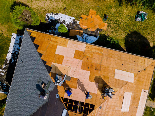 Best Storm Damage Roof Repair  in Belle Plaine, IA