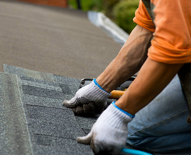 Best Metal Roofing Contractor  in Belle Plaine, IA