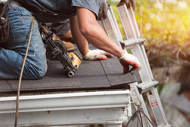 Best Flat Roof Repair Services  in Belle Plaine, IA